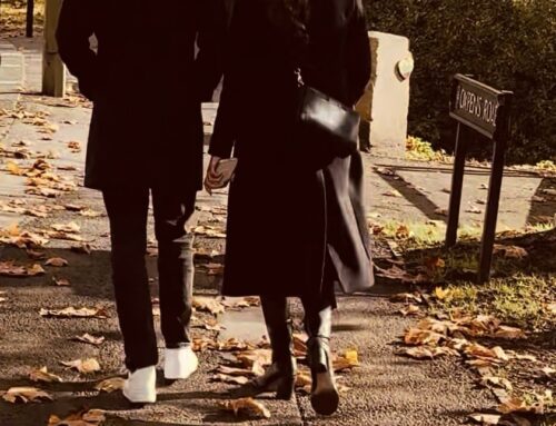 🍂 The Wisdom of Autumn Leaves